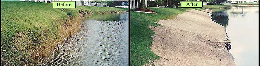 Florida canal shoreline restoration services in Florida