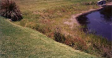 Alabama Golf Course Shoreline Restoration