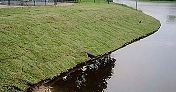 shoreline restoration