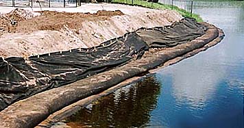 shoreline restoration