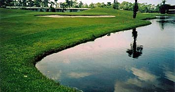 Florida Golf Course Shoreline Restoration