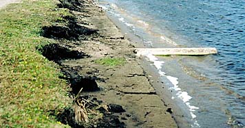 Florida Shoreline Restoration