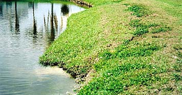 Florida Shoreline Restoration