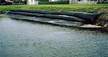 Florida Shoreline Restoration