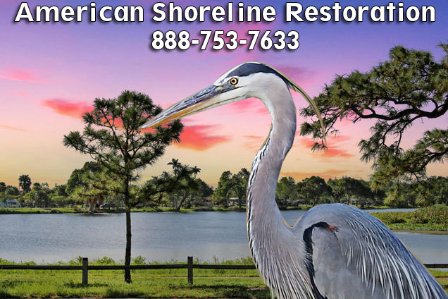 lake management and wetland restoration. Florida's leader in Green Technology and environmentally friendly for Lake Management.